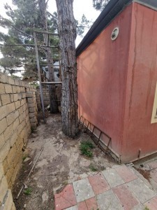 image 376746