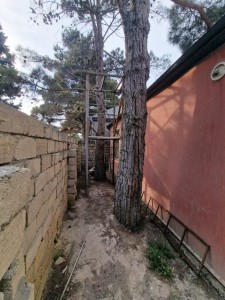 image 376746