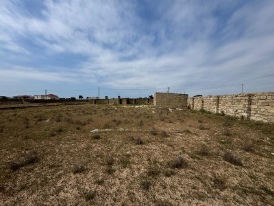 image 376760