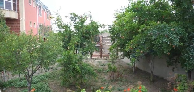 image 376765