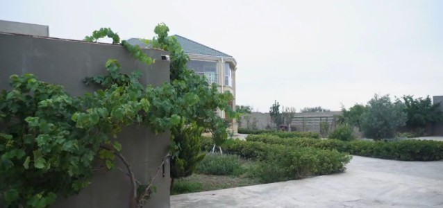 image 376765