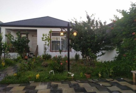 image 376776