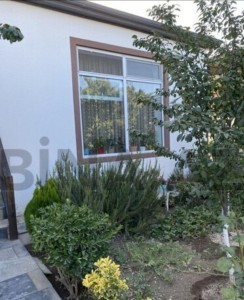 image 376776