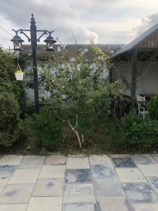 image 376776