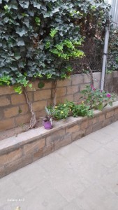 image 376793