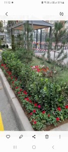 image 376793