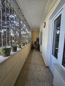 image 376804