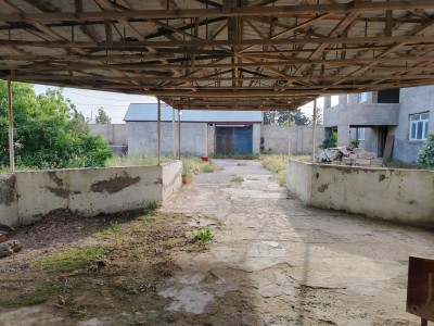 image 376813