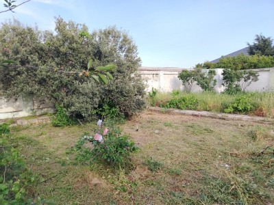 image 376813
