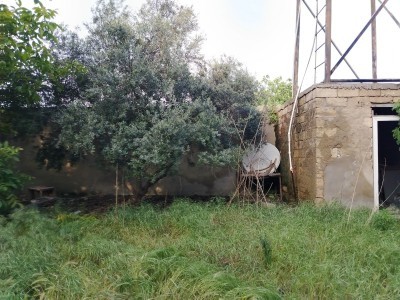 image 376813