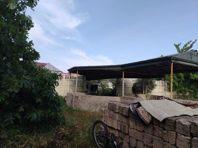 image 376813