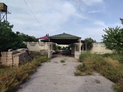 image 376813