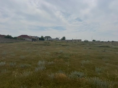 image 376819