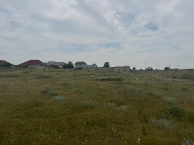 image 376819