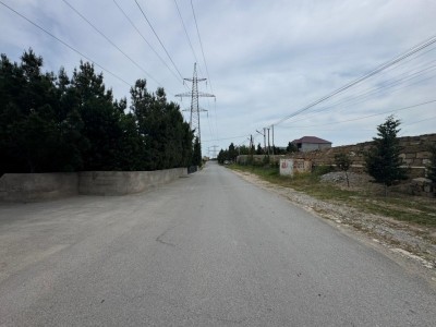 image 376819