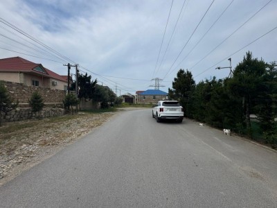 image 376819