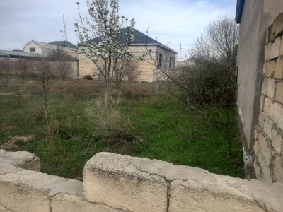 image 376821