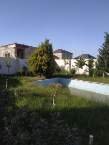 image 376823