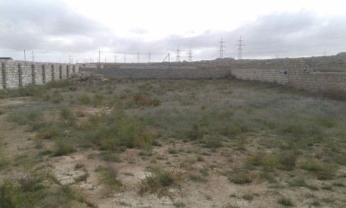 image 376825