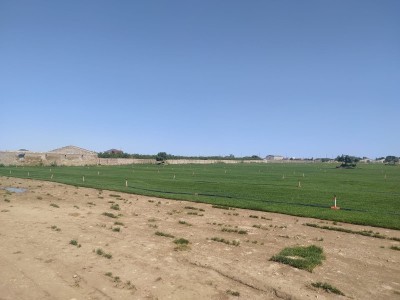 image 376832