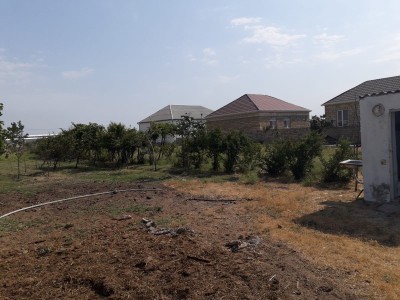 image 376832