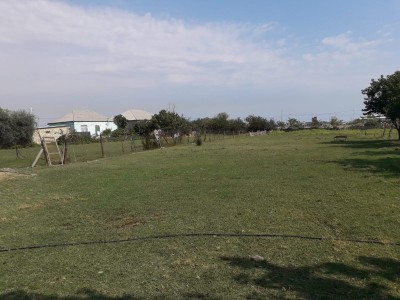 image 376832