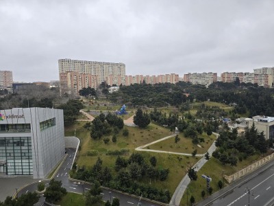 image 376836