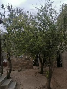 image 376911