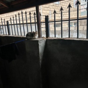 image 376914