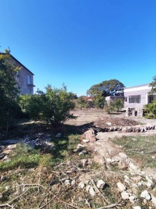 image 376917