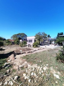 image 376917