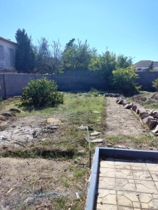 image 376917