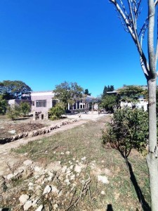image 376917