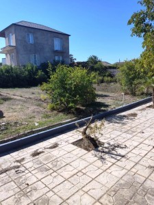 image 376917