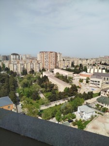 image 376941