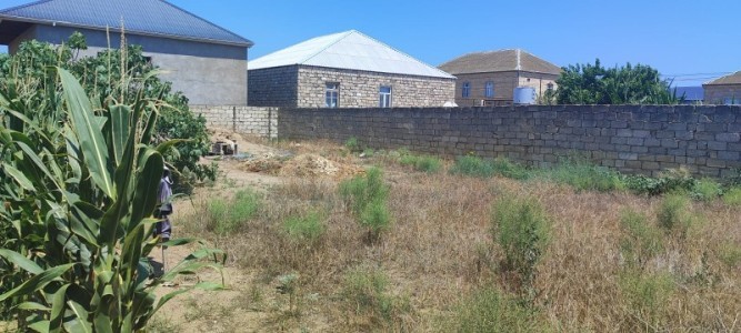 image 376950