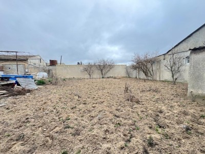 image 376954