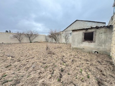 image 376954