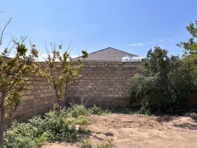 image 376965