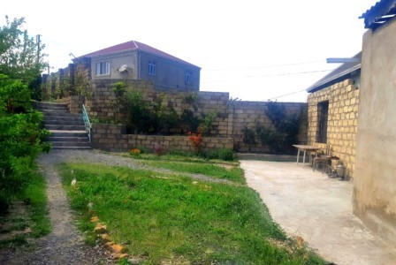image 376966