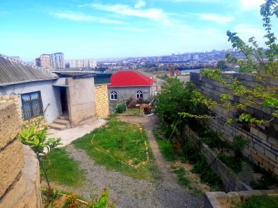 image 376966