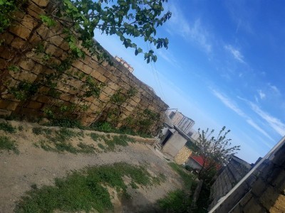 image 376966