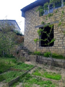 image 376966