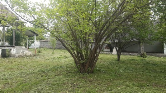 image 377000