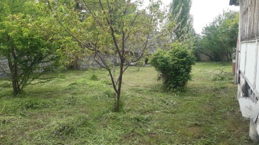 image 377000