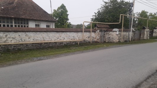 image 377000