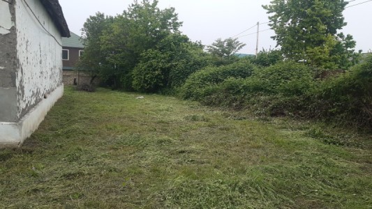 image 377000