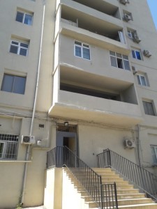 image 377001