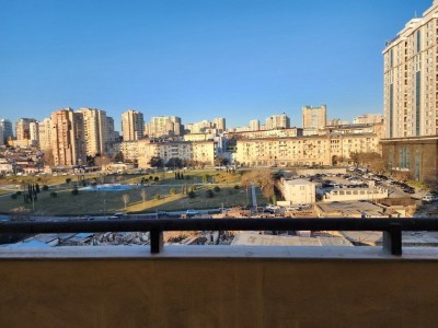 image 377005