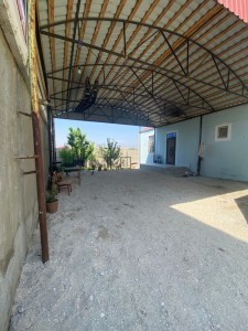 image 377010